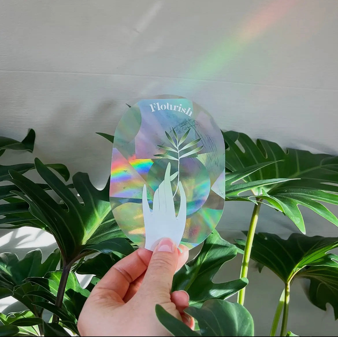 Botanopia Rainbow Stickers