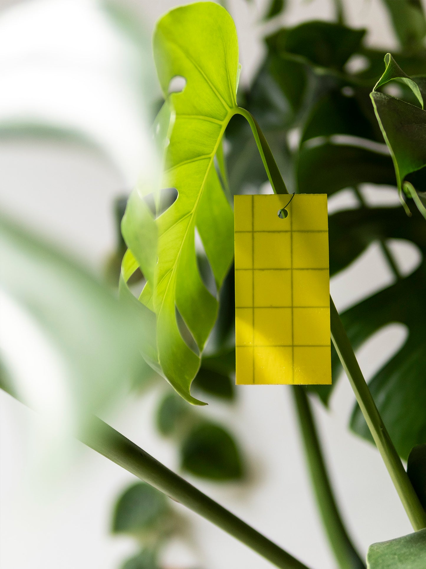 Anti Rouwvarenmug Stickers