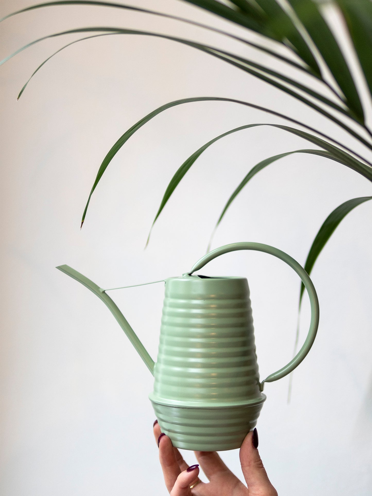 Ribbelgieter Mint - Wonderwoud
