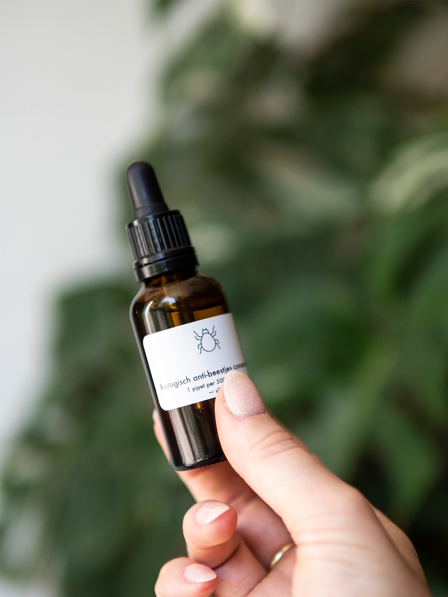Anti-beestjes Concentraat - Wonderwoud