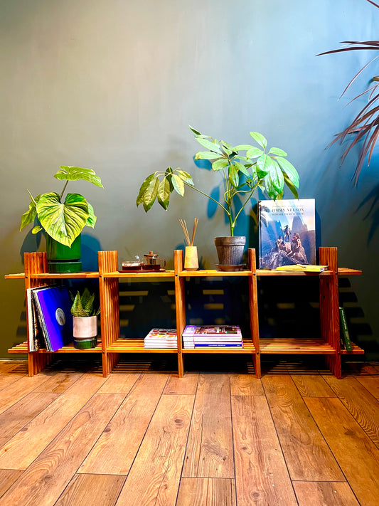 Thorvald Lissau bookcase / roomdivider