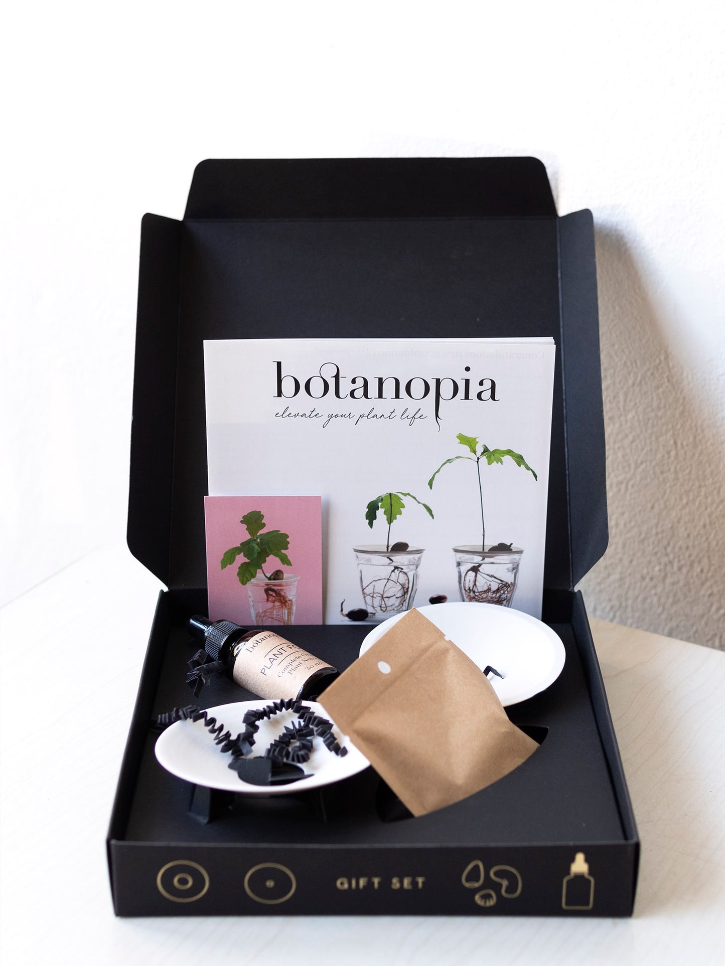 Botanopia Giftbox Stek Schaaltje