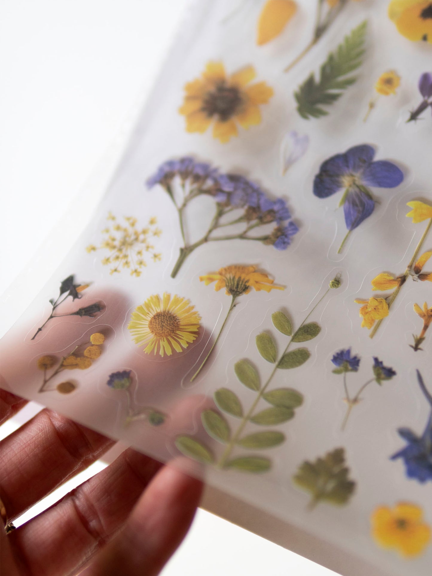 Botanopia Pressed Flowers Stickers