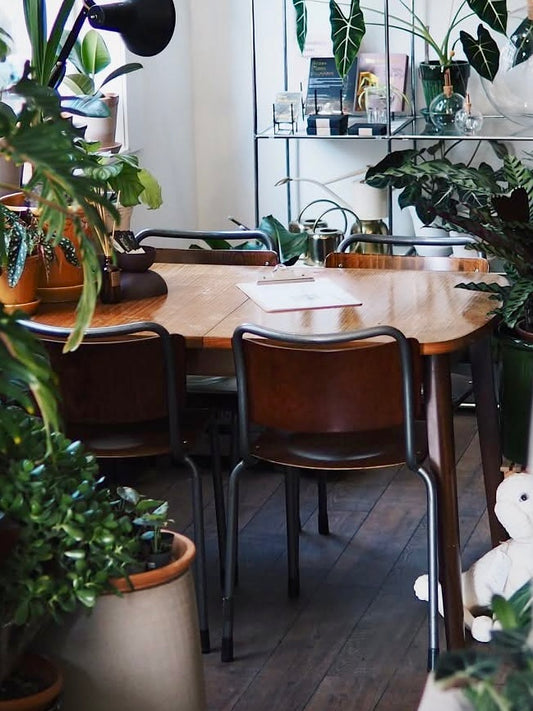 Gispen TU Delft stoelen per 2 stuks