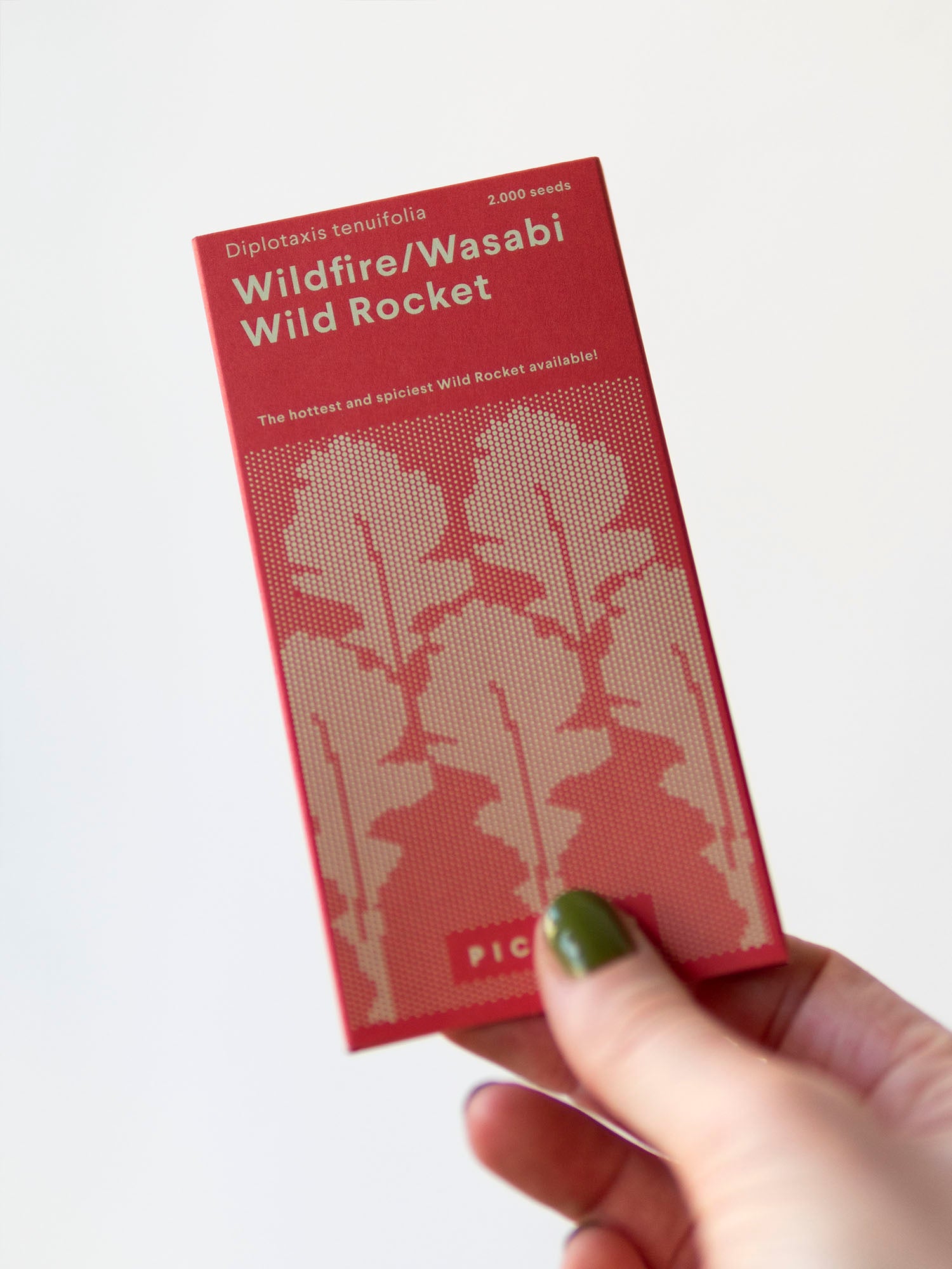 Piccolo Wildfire Wasabi Wild Rocket