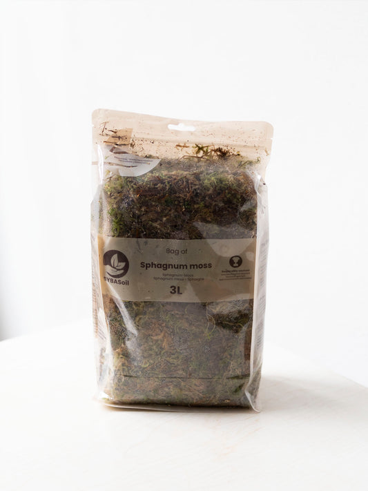 Sybotanica Sphagnum Mos