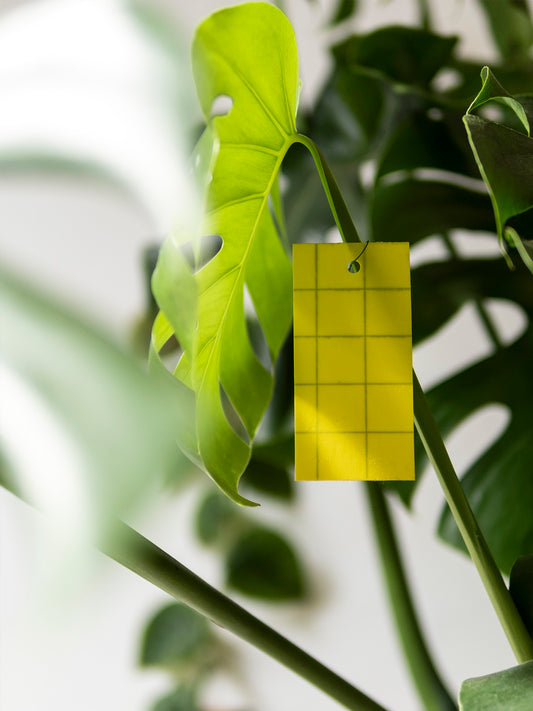 Anti Rouwvarenmug Stickers